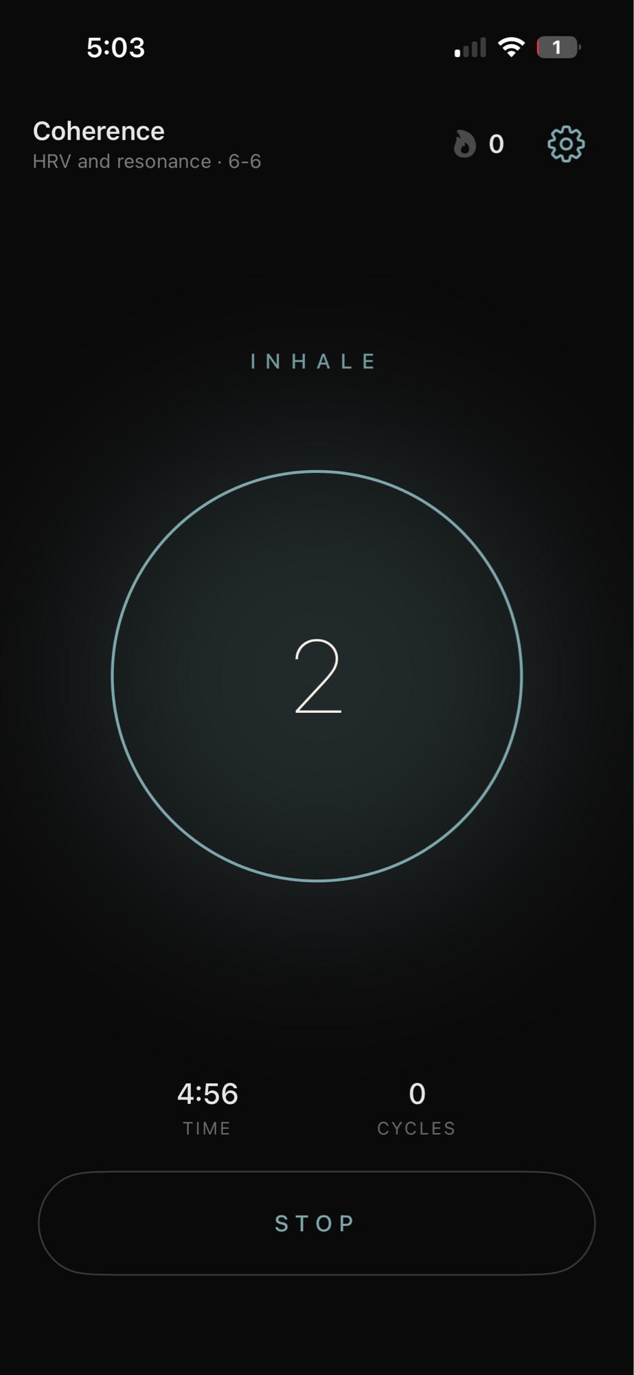 Coherence iOS active breathing session